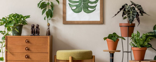 vintage pour décoration