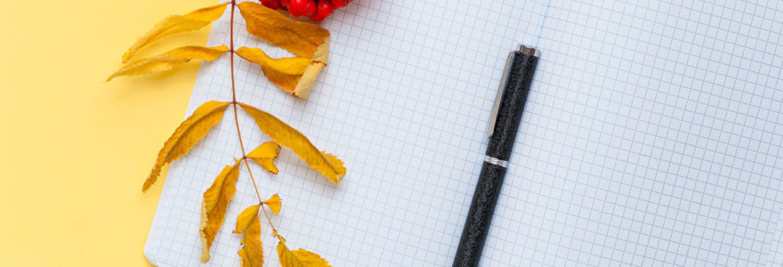 Le stylo personnalisé